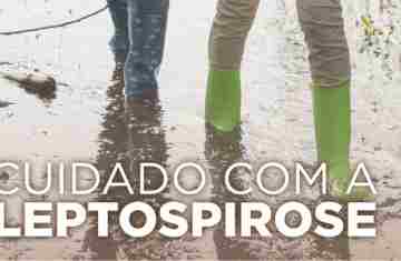  Com previsão de chuva acima da média, Saúde reforça cuidados contra leptospirose no outono 